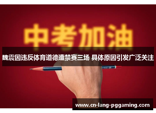 魏震因违反体育道德遭禁赛三场 具体原因引发广泛关注