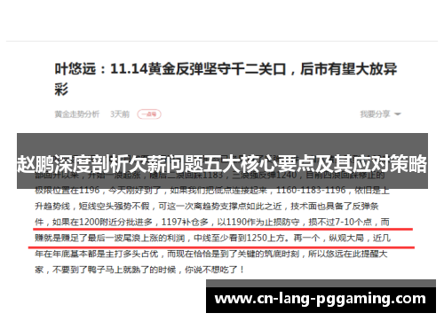 赵鹏深度剖析欠薪问题五大核心要点及其应对策略